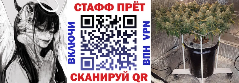 Какие есть наркотики Мурино Alpha PVP мега зеркало Меф