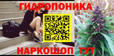 тгк Гай