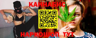 тгк Гай