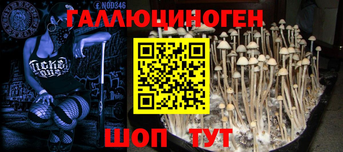 Галлюциногенные грибы прущие грибы  Вход с VPN  Мурино 